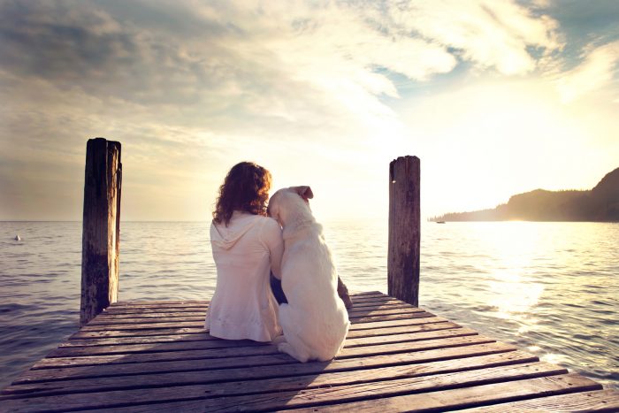 Personalized Financial Planning